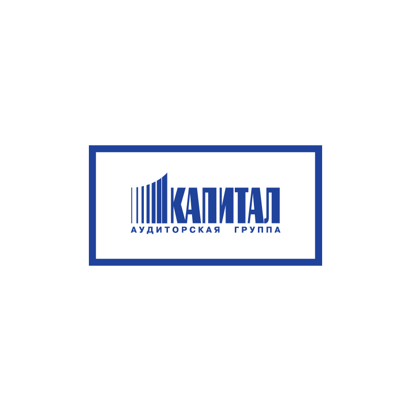 Logo CapitalAuditor blue